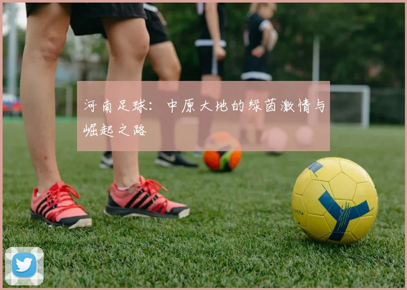河南足球：中原大地的绿茵激情与崛起之路