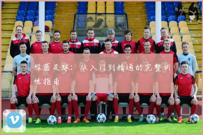 绿茵足球:从入门到精通的完整训练指南