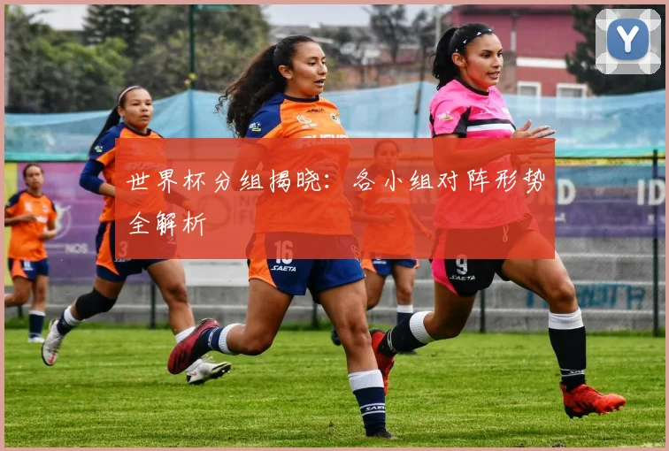 世界杯分组揭晓:各小组对阵形势全解析
